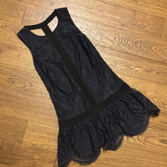 Twelfth Street by Cynthia Vincent lace dress - Picture 3 of 8